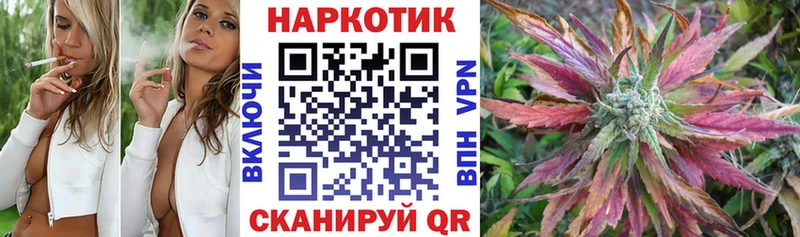 Где купить наркотики Сенгилей СК  Канабис  Героин  ГАШИШ  МЕФ 