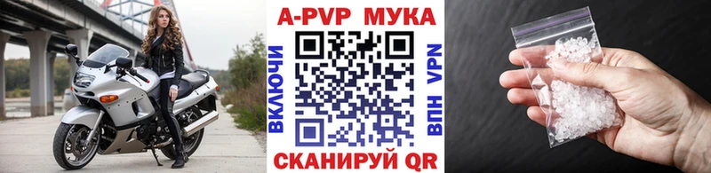 купить наркоту  Сенгилей  hydra tor  A-PVP Соль 