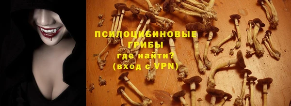 apvp Аркадак