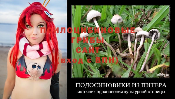 apvp Аркадак