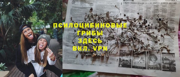 мяу мяу мука Арсеньев