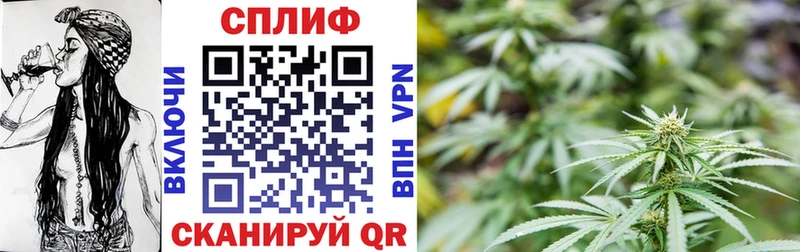 даркнет сайт  Сенгилей  MEGA ссылка  Конопля планчик 